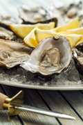 Fresh Oysters 🦪 x3